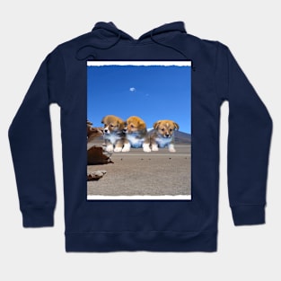 puppies on the sand Hoodie